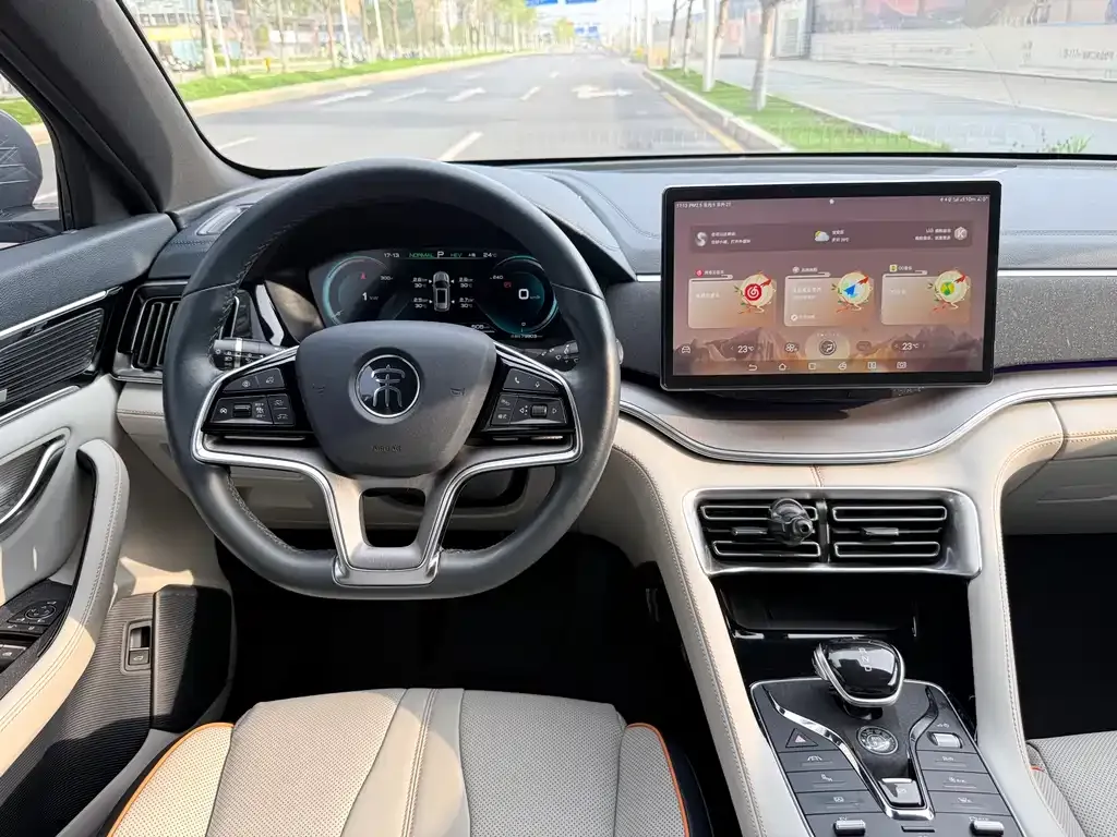BYD PLUS New Energy — фото 6