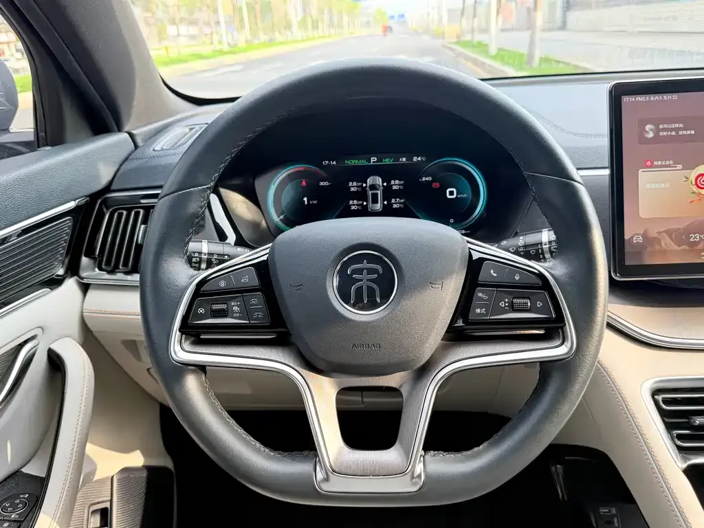 BYD PLUS New Energy — фото 9