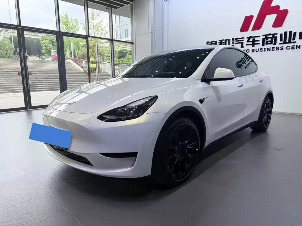 Tesla Model Y — фото 1