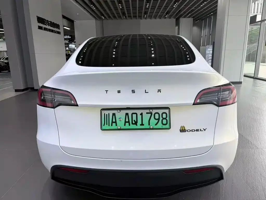 Tesla Model Y — фото 5