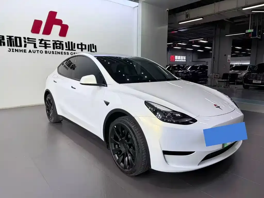Tesla Model Y — фото 9