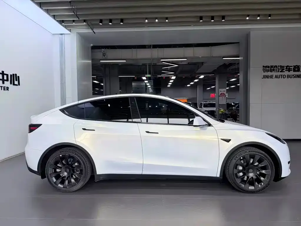 Tesla Model Y — фото 3
