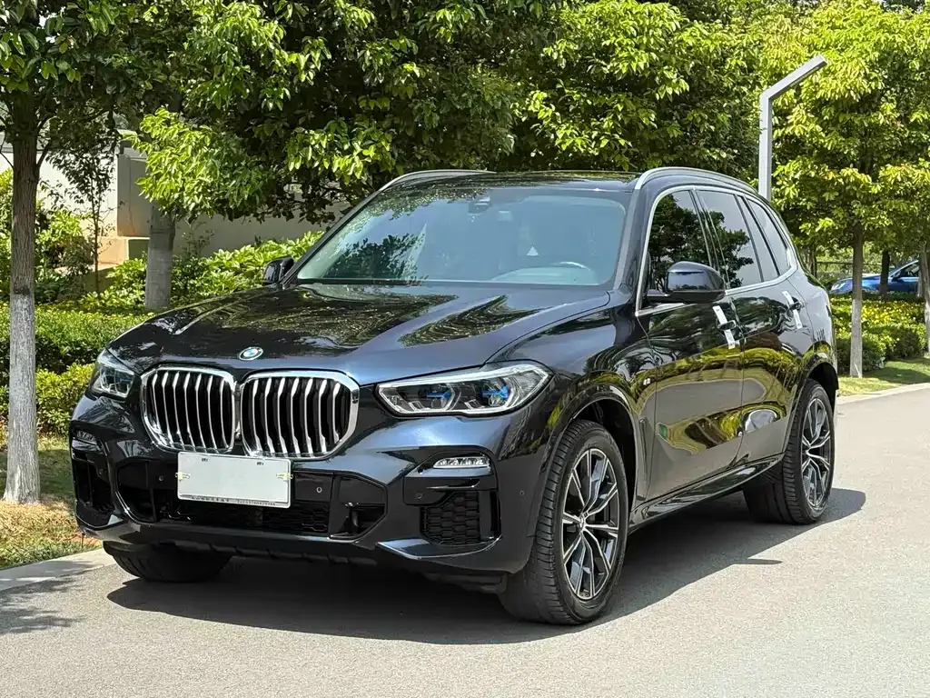 BMW X5 (Import) — фото 1