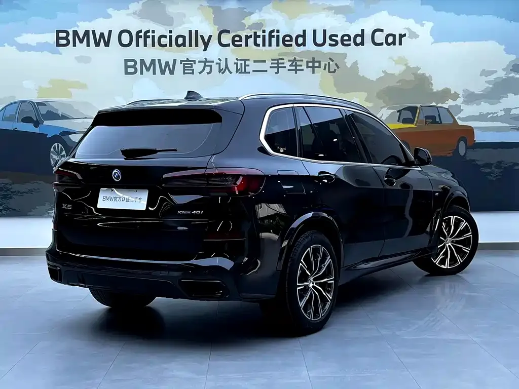 BMW X5 (Import) 2022 из CN, фото 10
