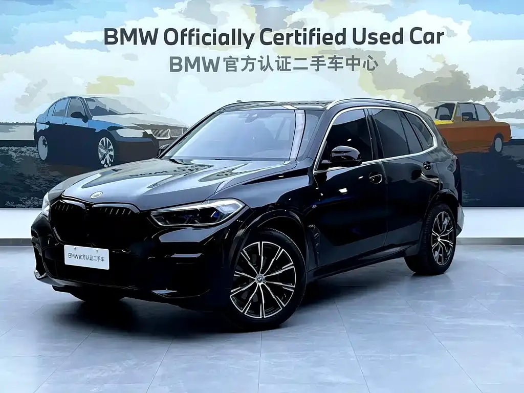 BMW X5 (Import) 2022 из CN, фото 5