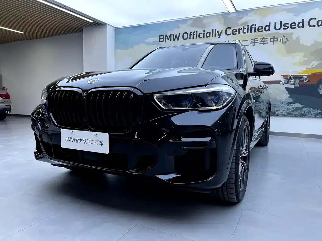 BMW X5 (Import) 2022 из CN, фото 7