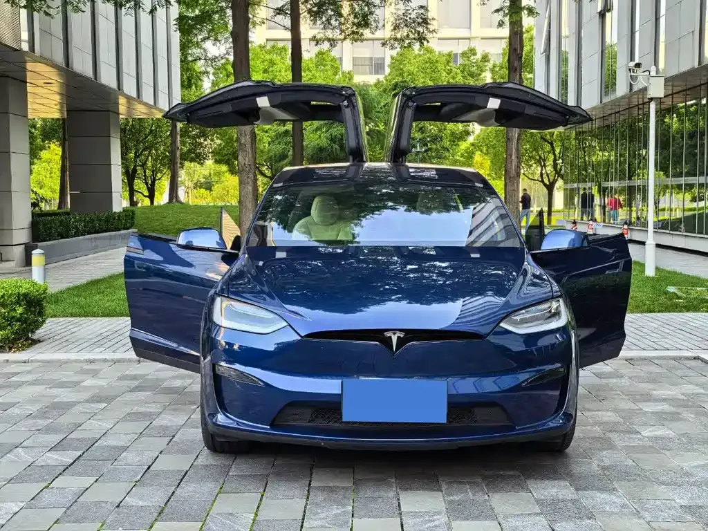 Tesla Model X 2023 из CN, фото 8