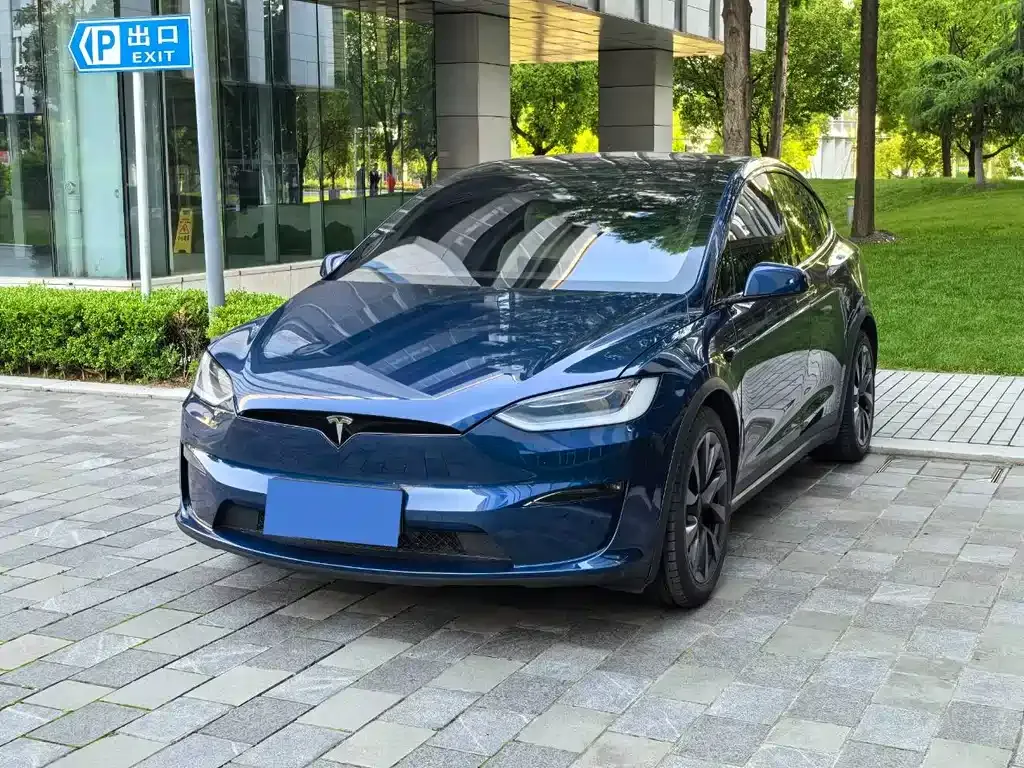 Tesla Model X 2023 из CN, фото 5