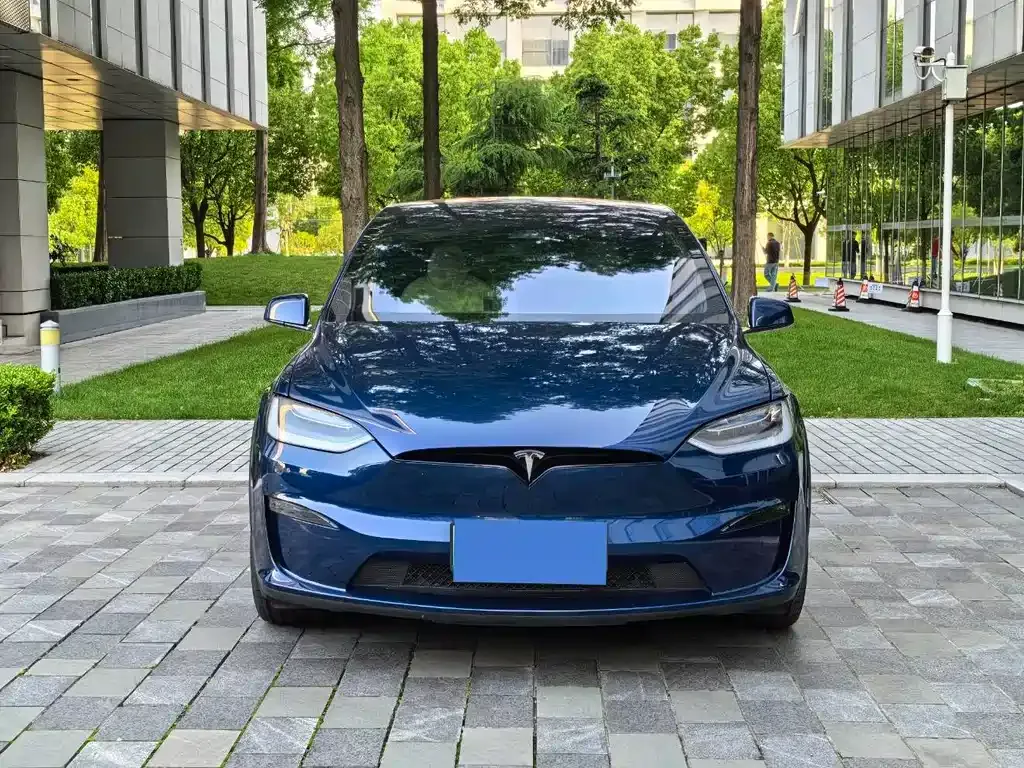 Tesla Model X 2023 из CN, фото 4