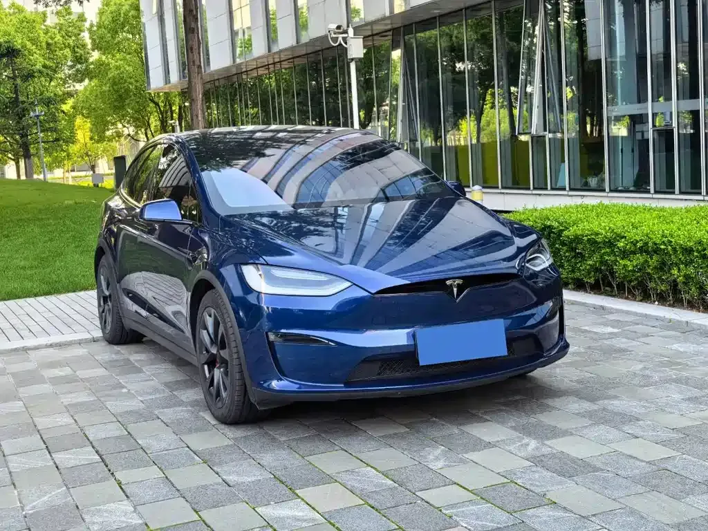 Tesla Model X 2023 из CN, фото 6