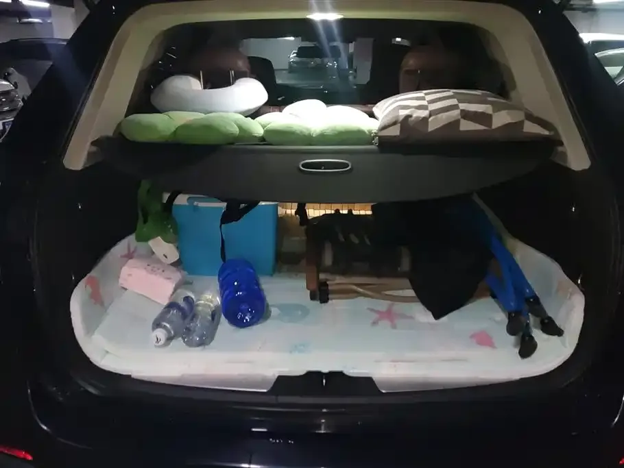 Buick Envision Plus 2021 из CN, фото 3