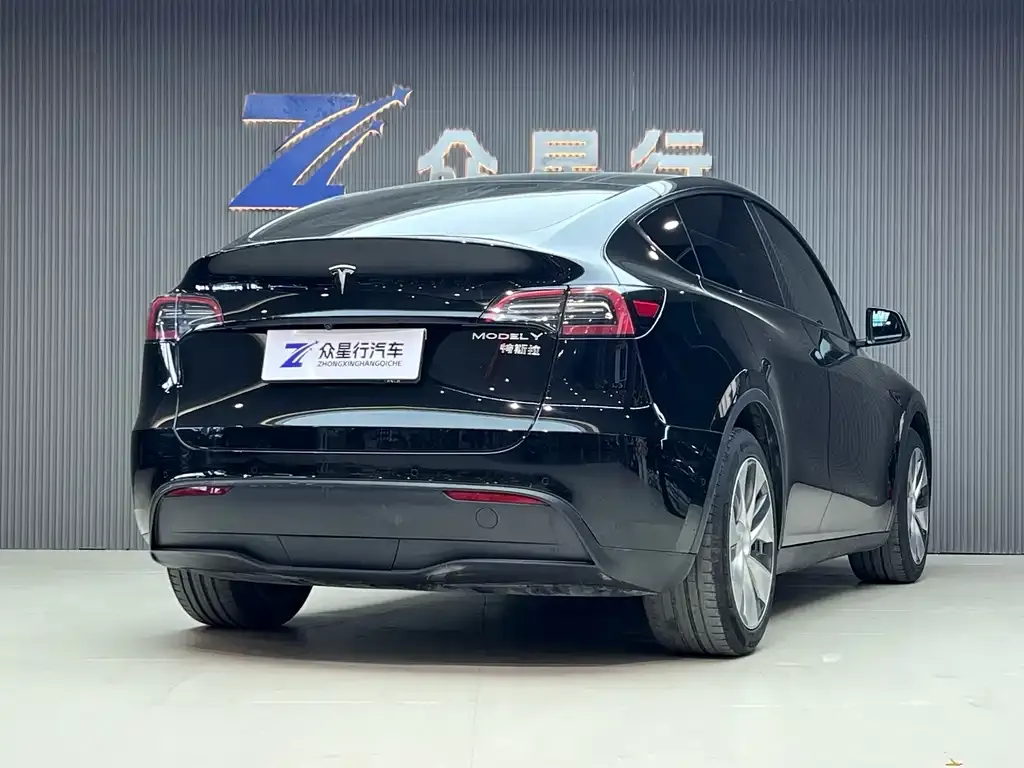 Tesla Model Y — фото 2