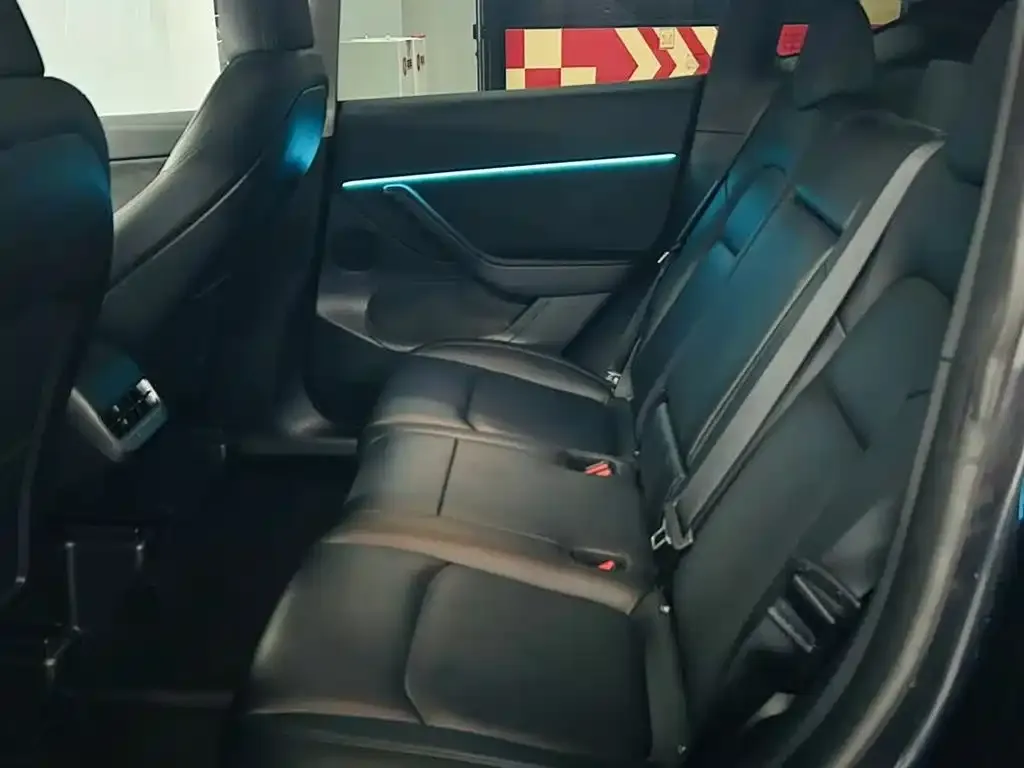 Tesla Model Y — фото 2