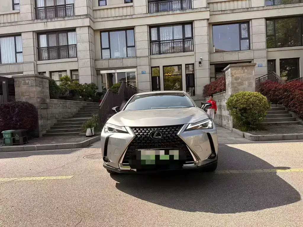 Lexus UX New Energy 2022 из CN, фото 5