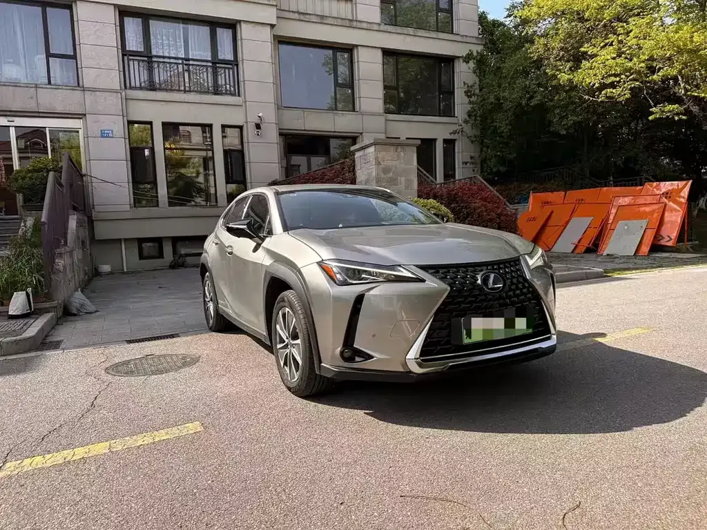 Lexus UX New Energy 2022 из CN, фото 7
