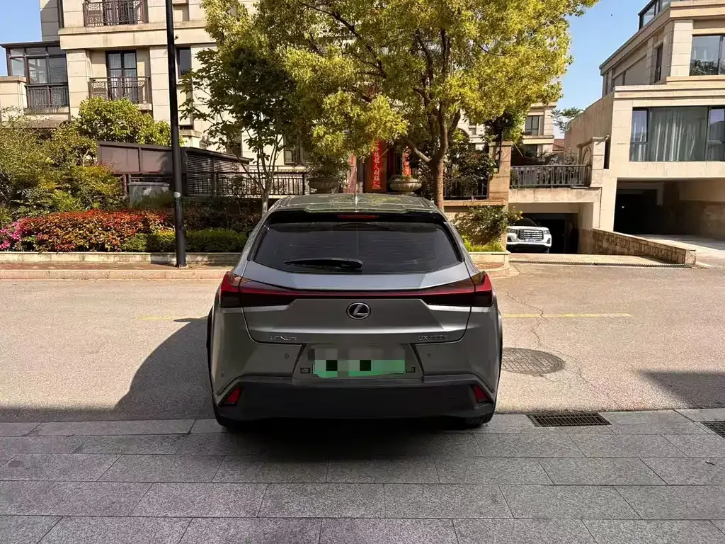 Lexus UX New Energy 2022 из CN, фото 8