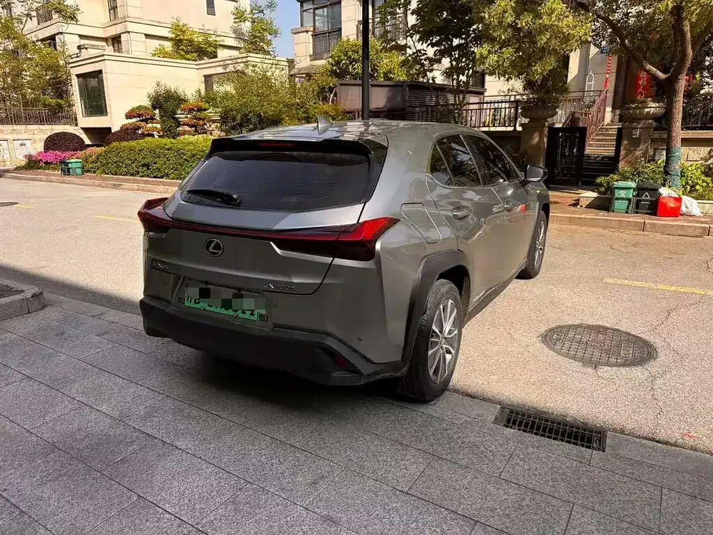 Lexus UX New Energy 2022 из CN, фото 6