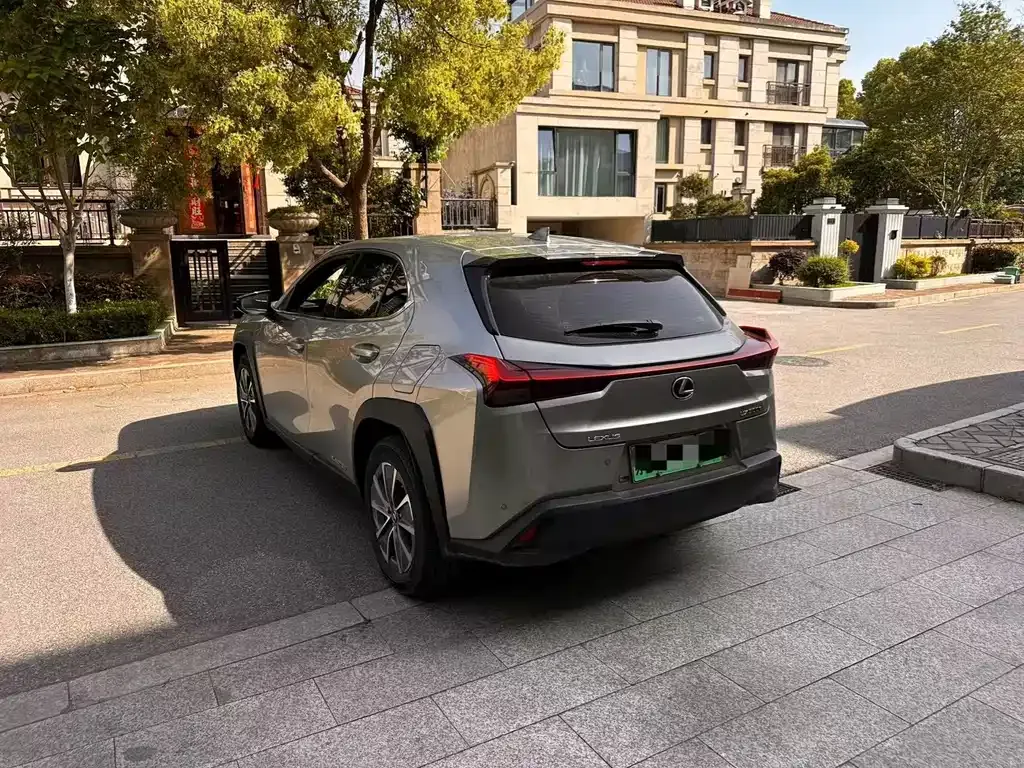 Lexus UX New Energy 2022 из CN, фото 9