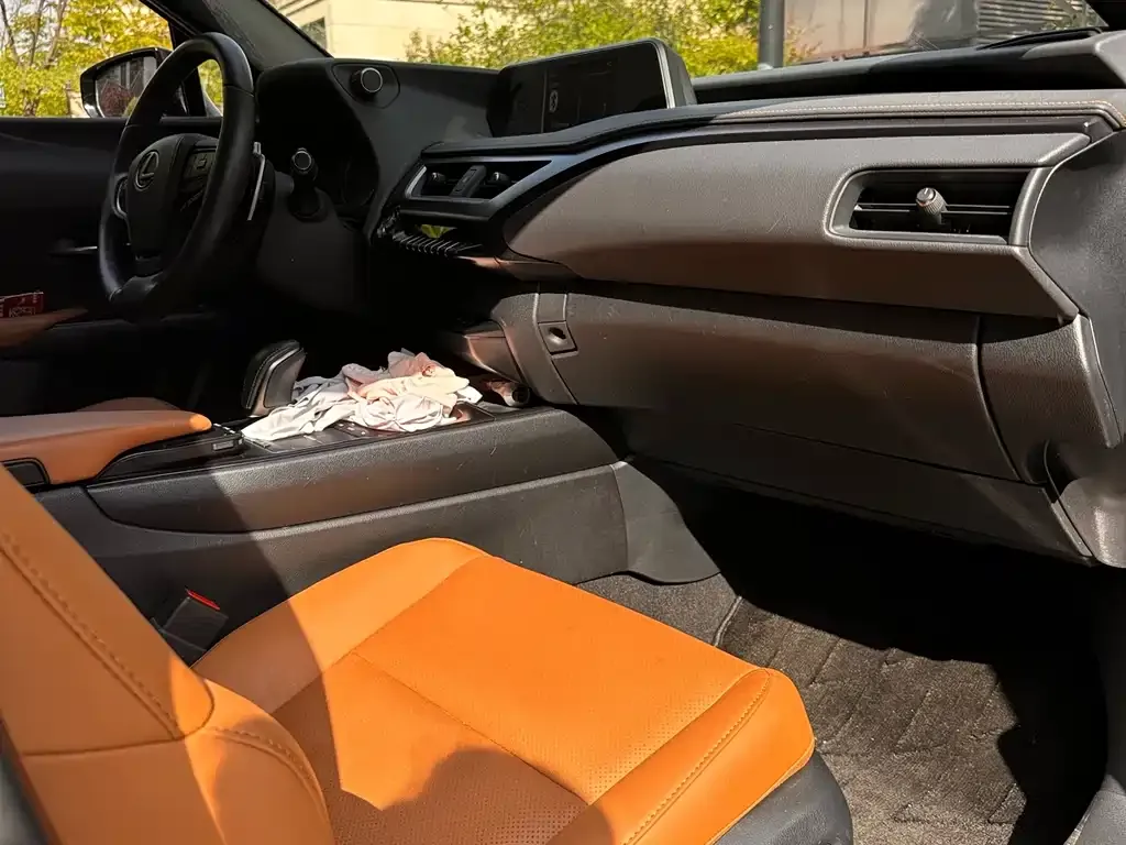 Lexus UX New Energy 2022 из CN, фото 3