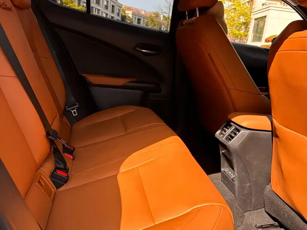 Lexus UX New Energy 2022 из CN, фото 2