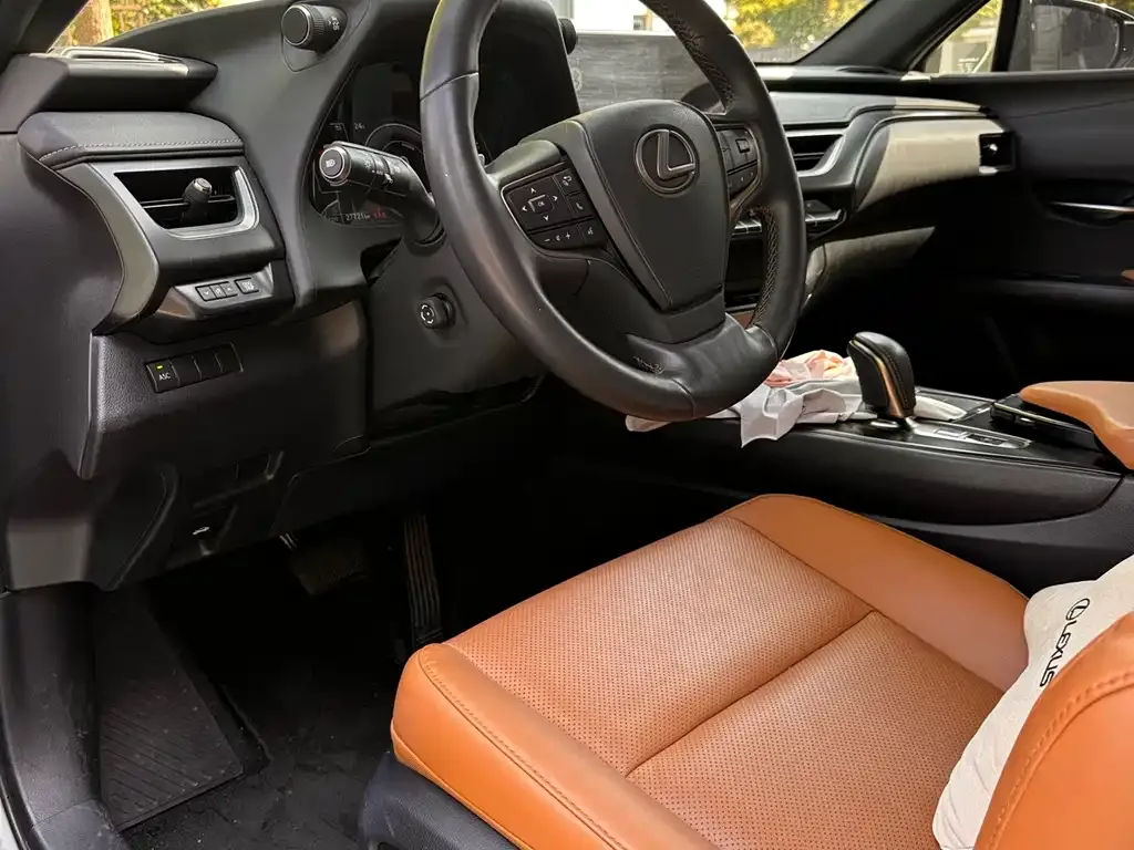 Lexus UX New Energy 2022 из CN, фото 4