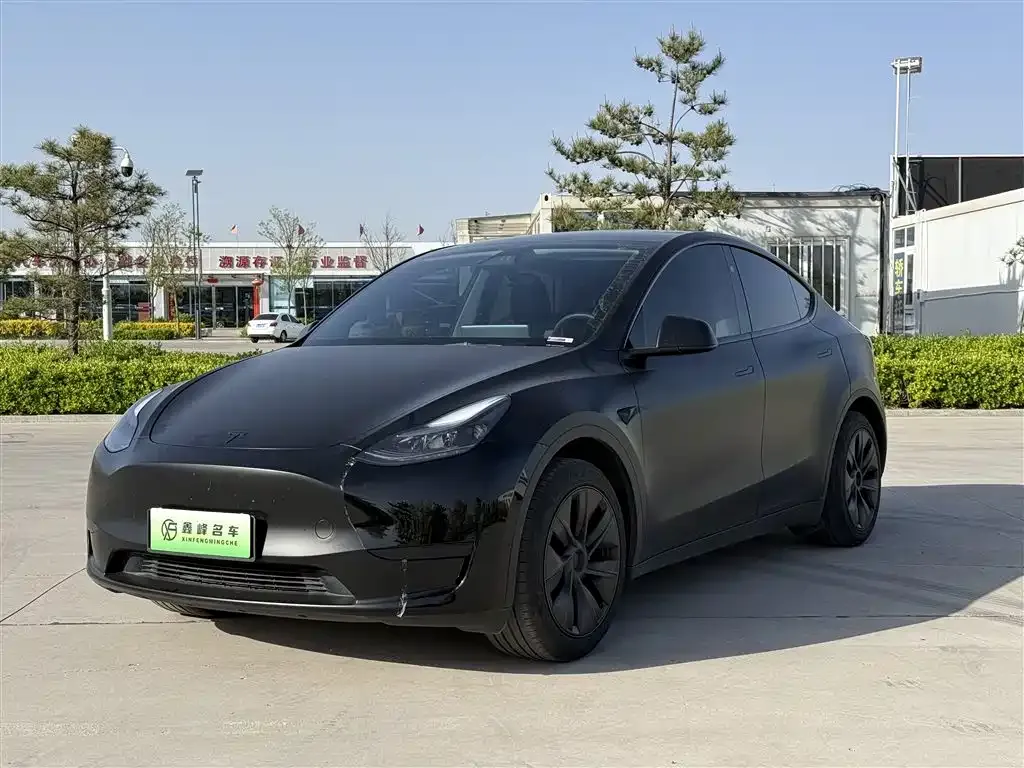 Tesla Model Y — фото 1