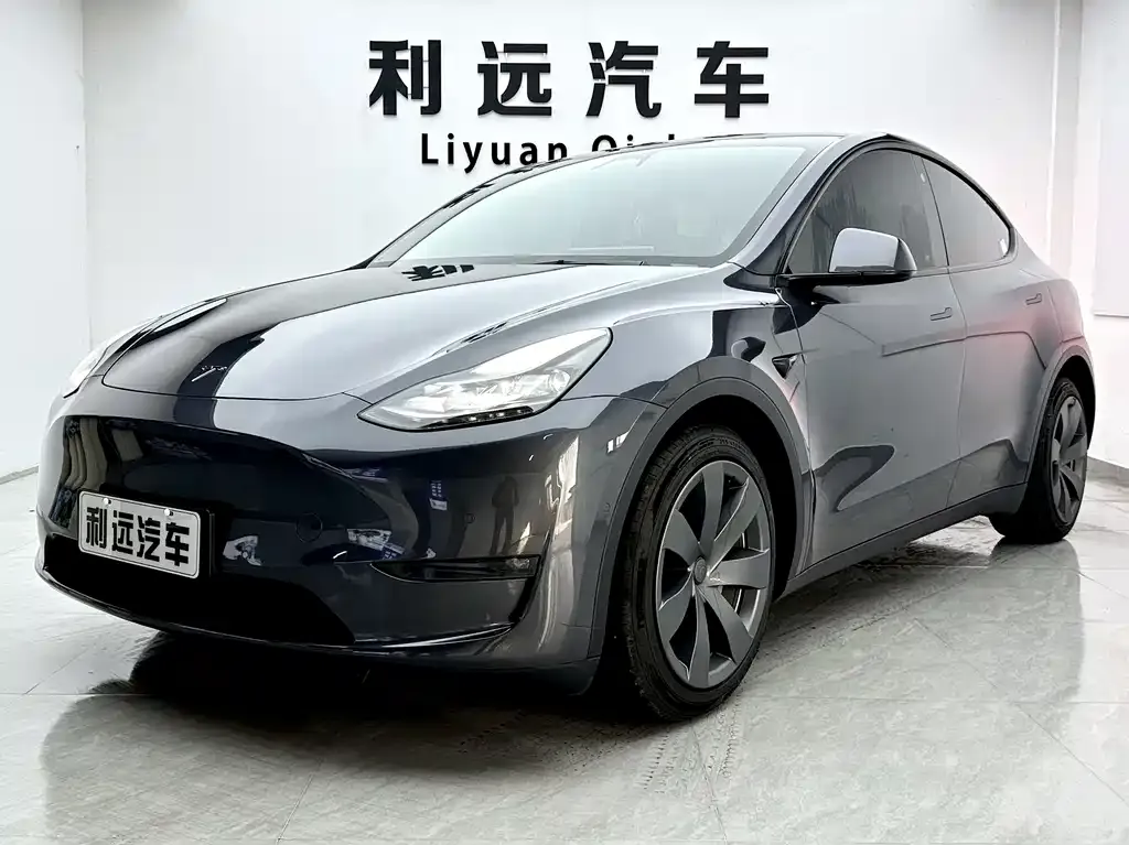 Tesla Model Y — фото 1