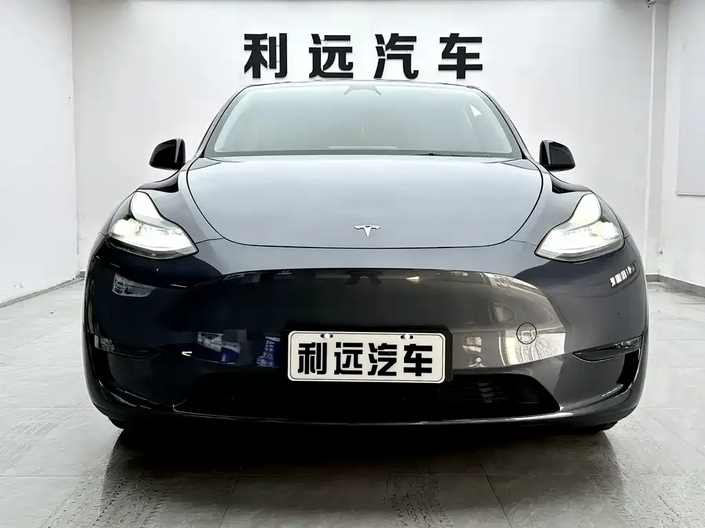 Tesla Model Y — фото 9