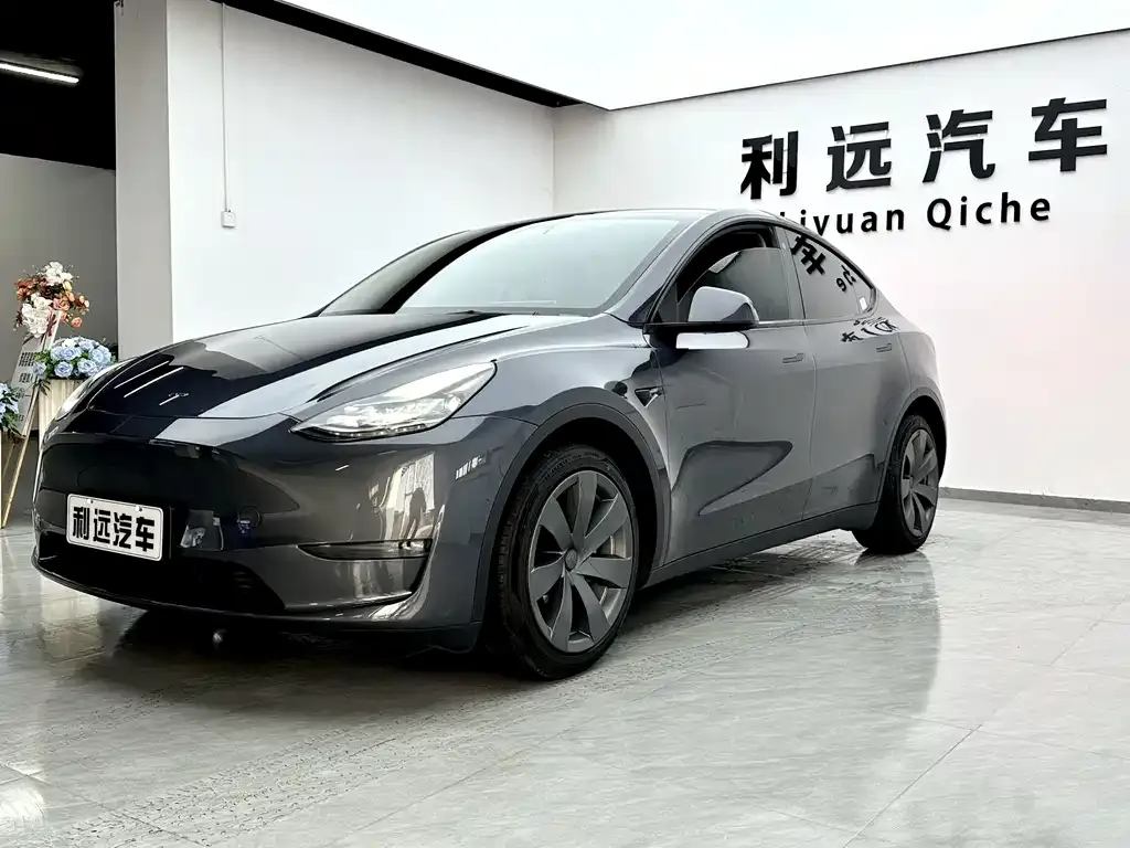 Tesla Model Y — фото 10