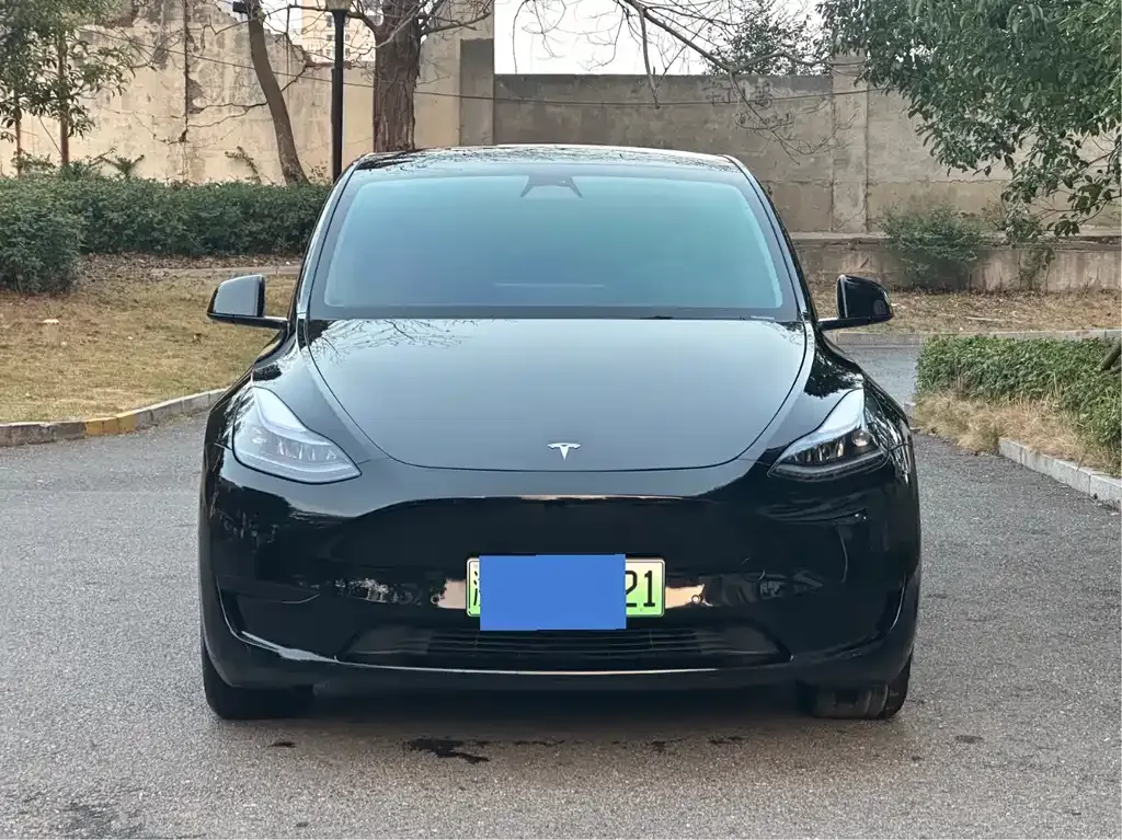 Tesla Model Y — фото 1