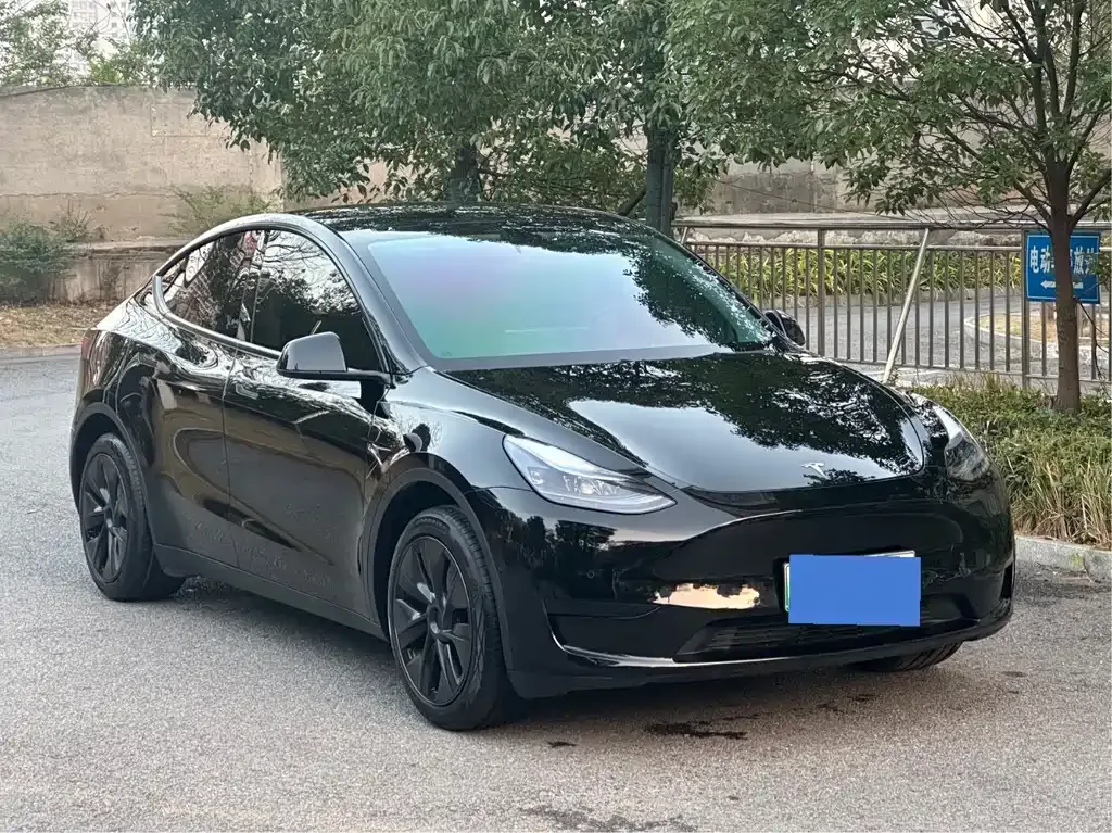Tesla Model Y — фото 6