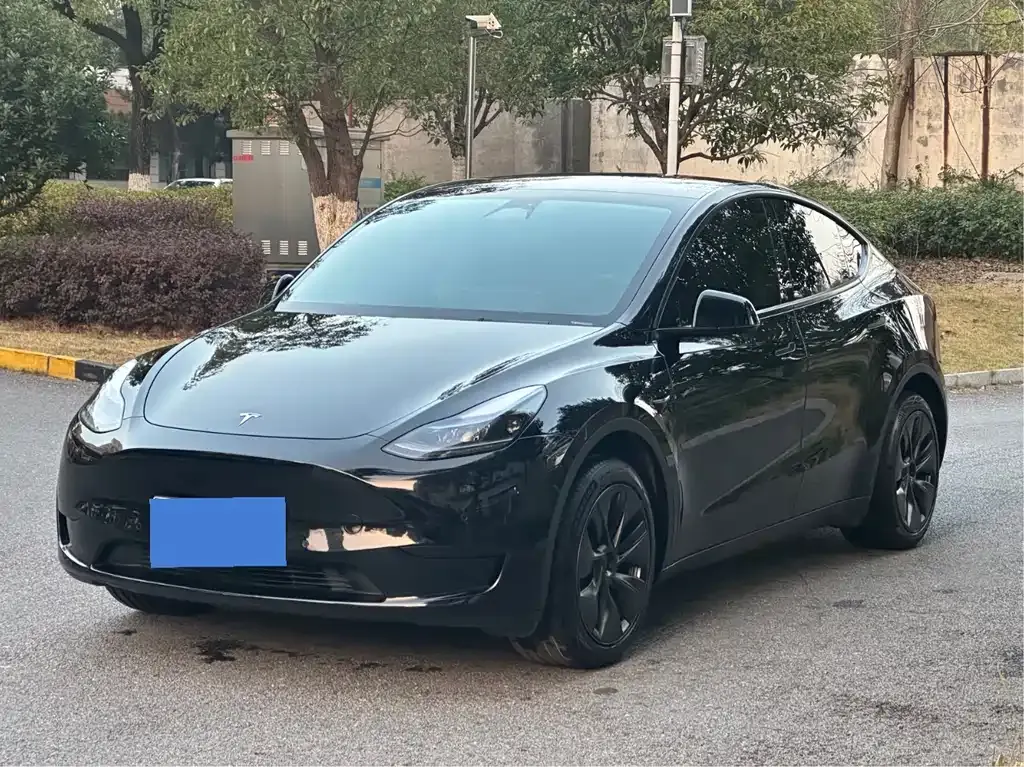 Tesla Model Y — фото 5