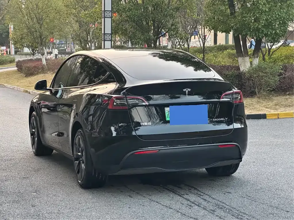 Tesla Model Y — фото 4