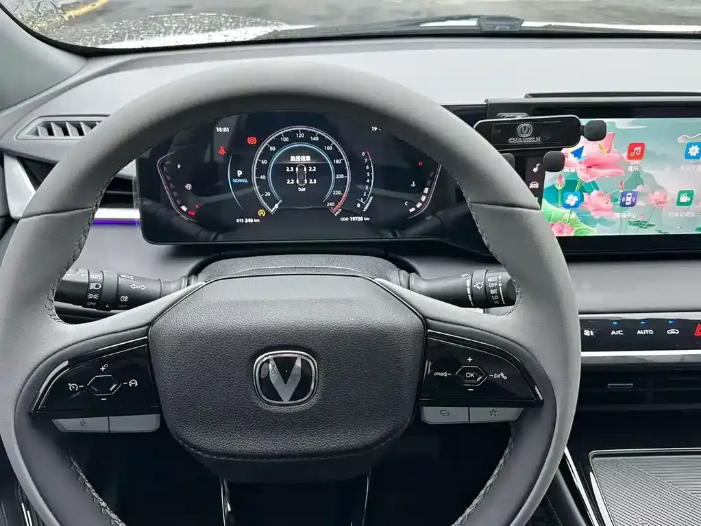 Changan Ruicheng PLUS 2024 из CN, фото 7