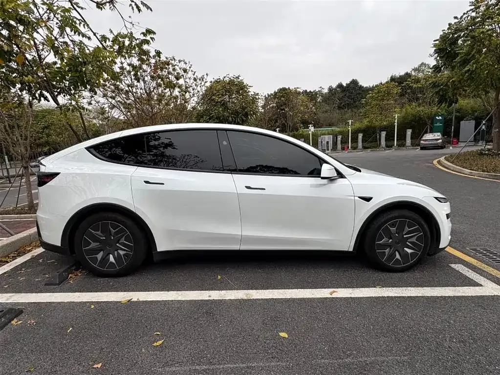 Tesla Model Y L 2025 из CN, фото 7