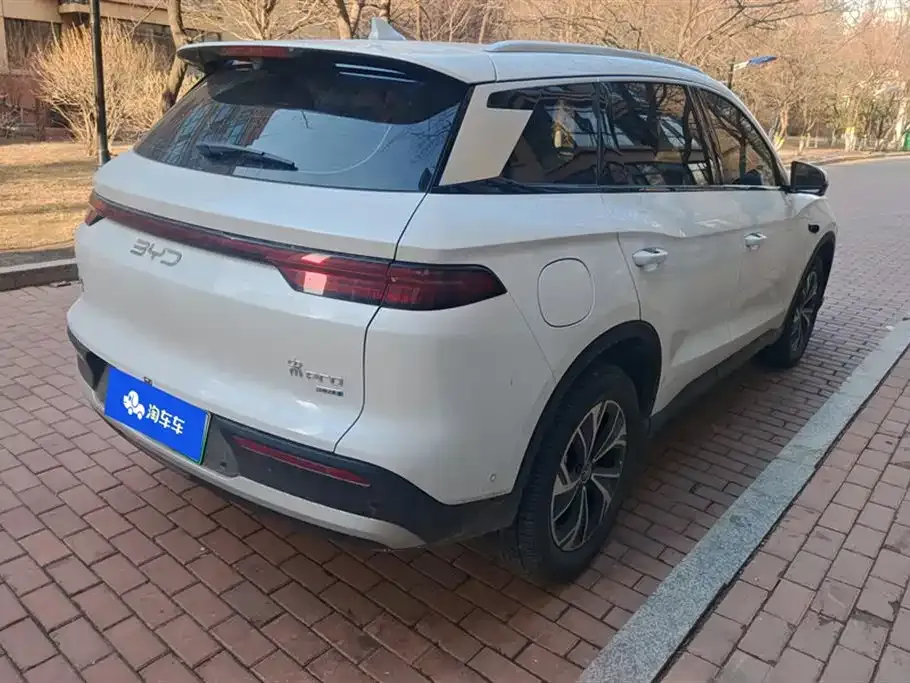 BYD Pro New Energy — фото 9