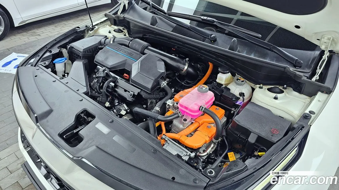 Kia Sportage — фото 10