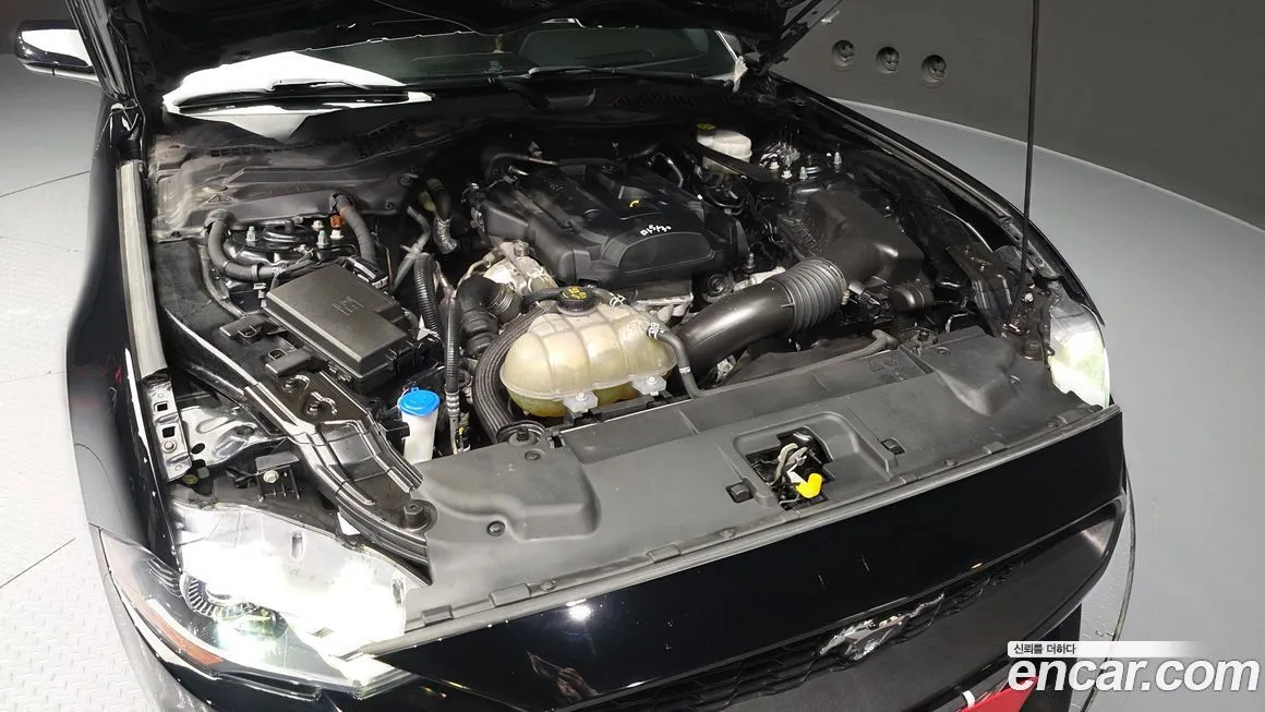 Ford Mustang 2021 из KR, фото 9