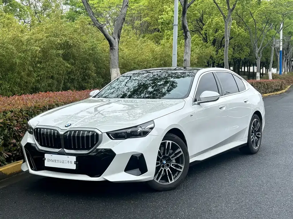 BMW 5 Series 2025 из CN, фото 1
