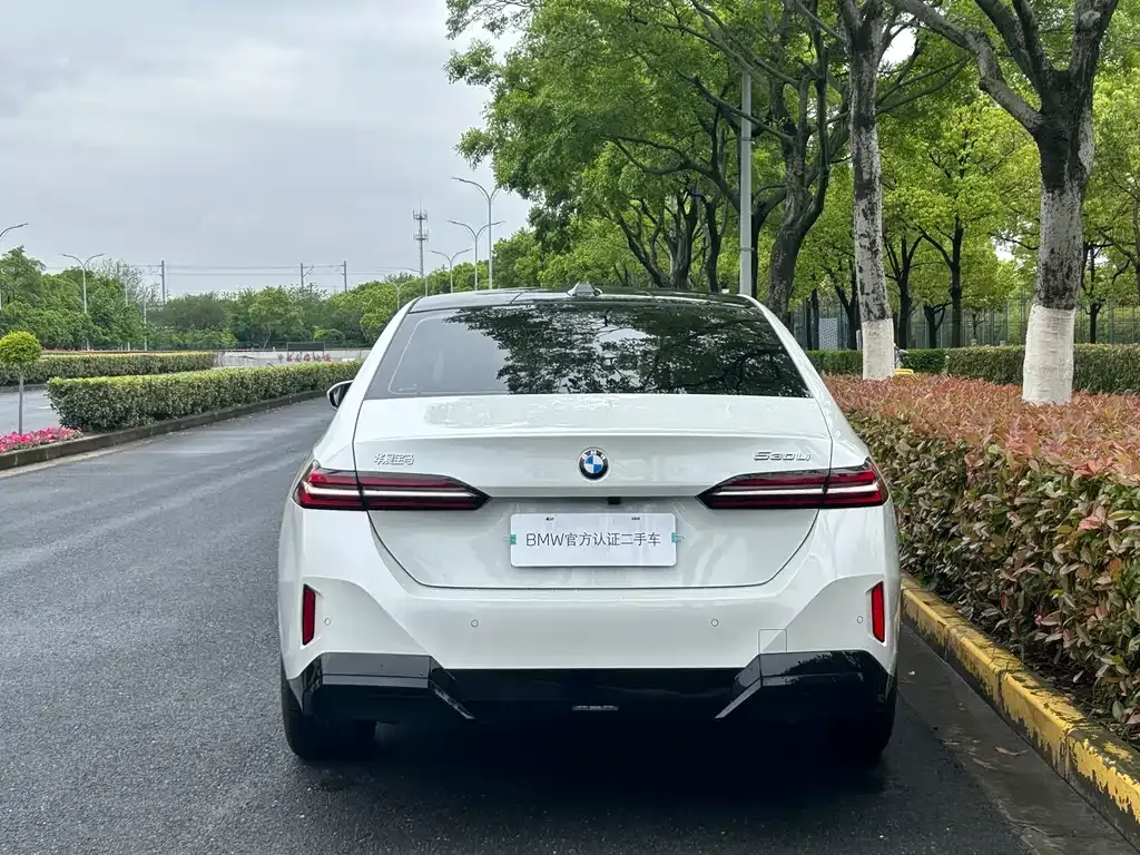 BMW 5 Series 2025 из CN, фото 10