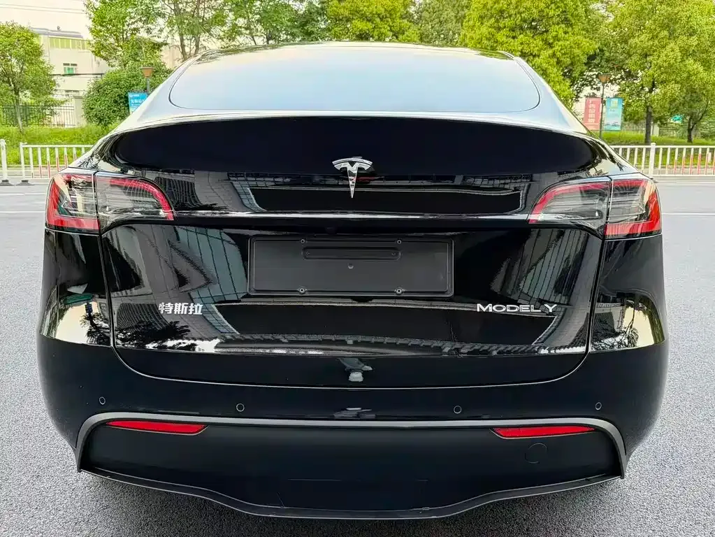 Tesla Model Y — фото 8