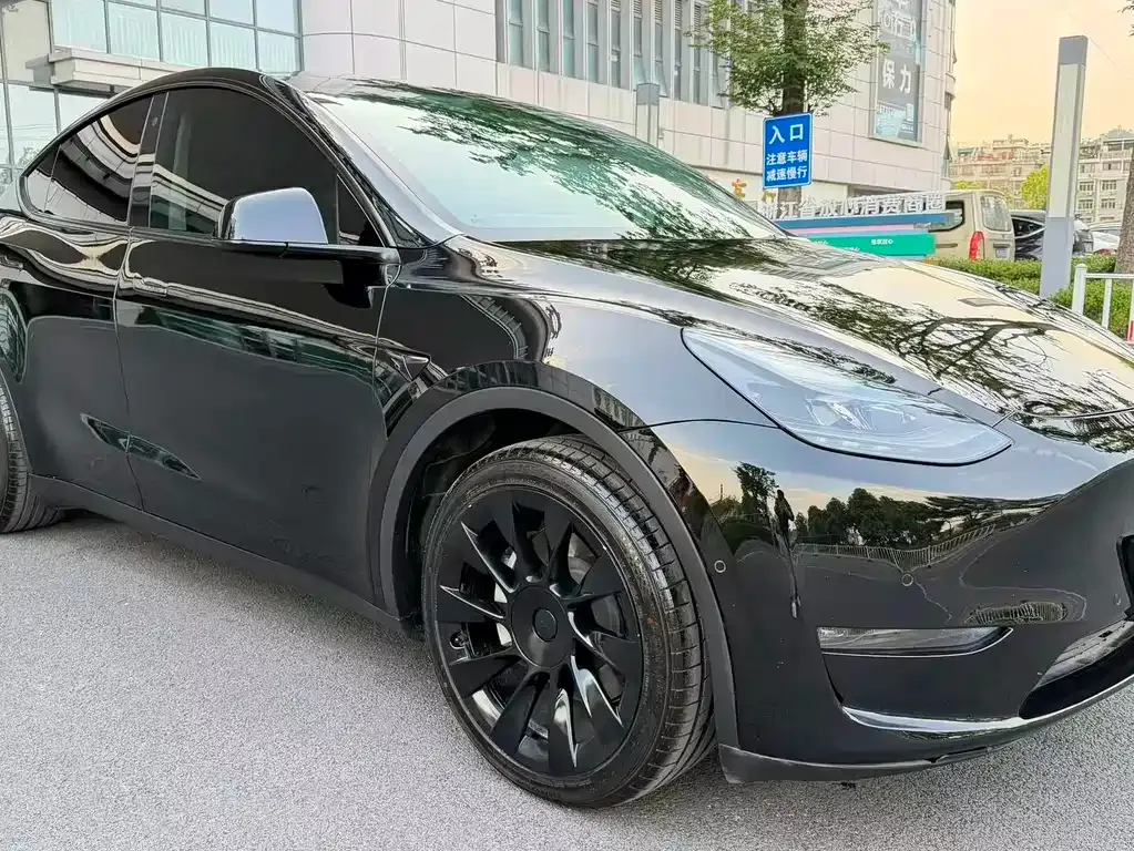 Tesla Model Y — фото 9