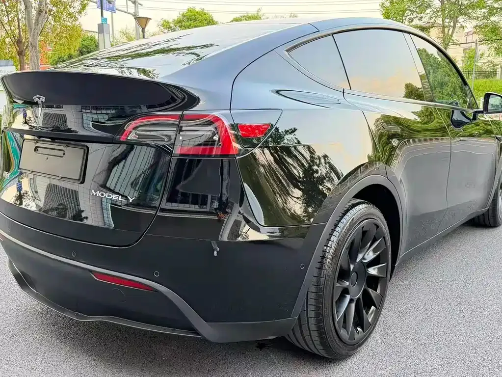 Tesla Model Y — фото 10