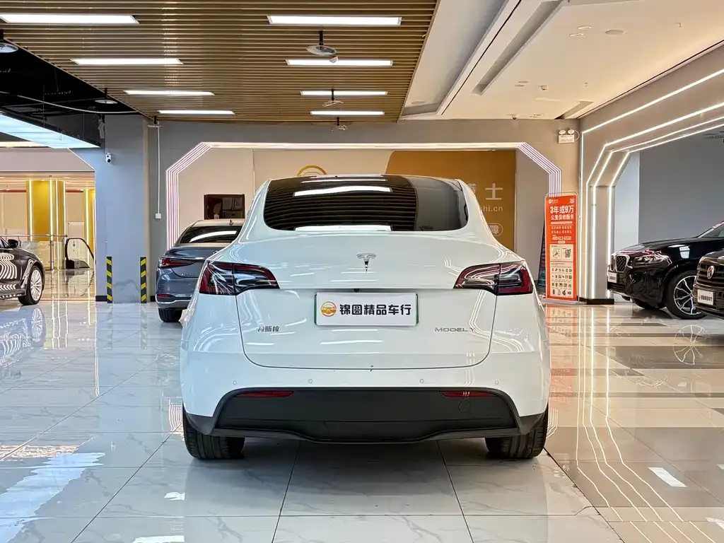 Tesla Model Y — фото 9