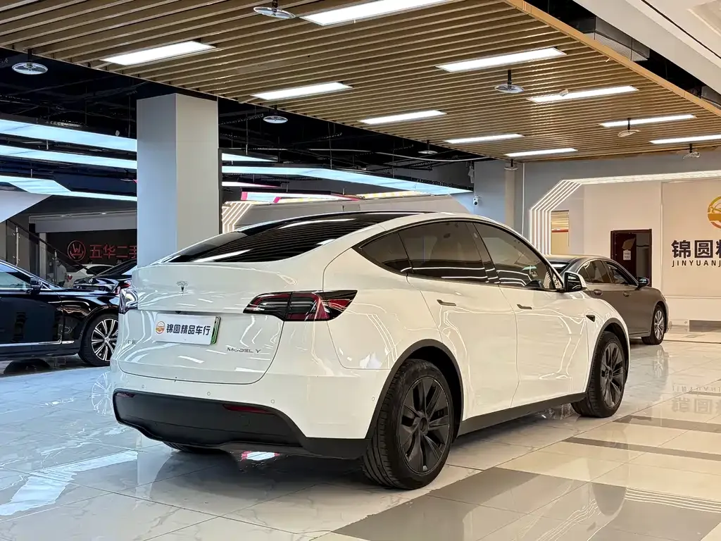 Tesla Model Y — фото 10