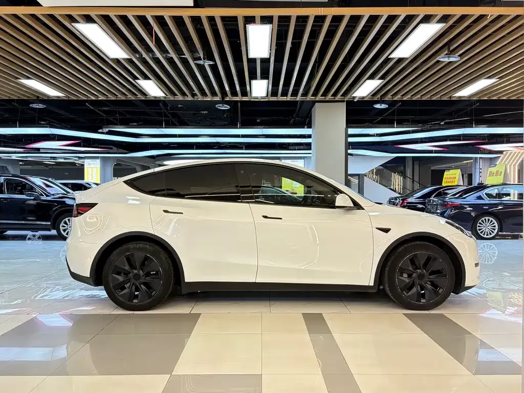 Tesla Model Y — фото 7