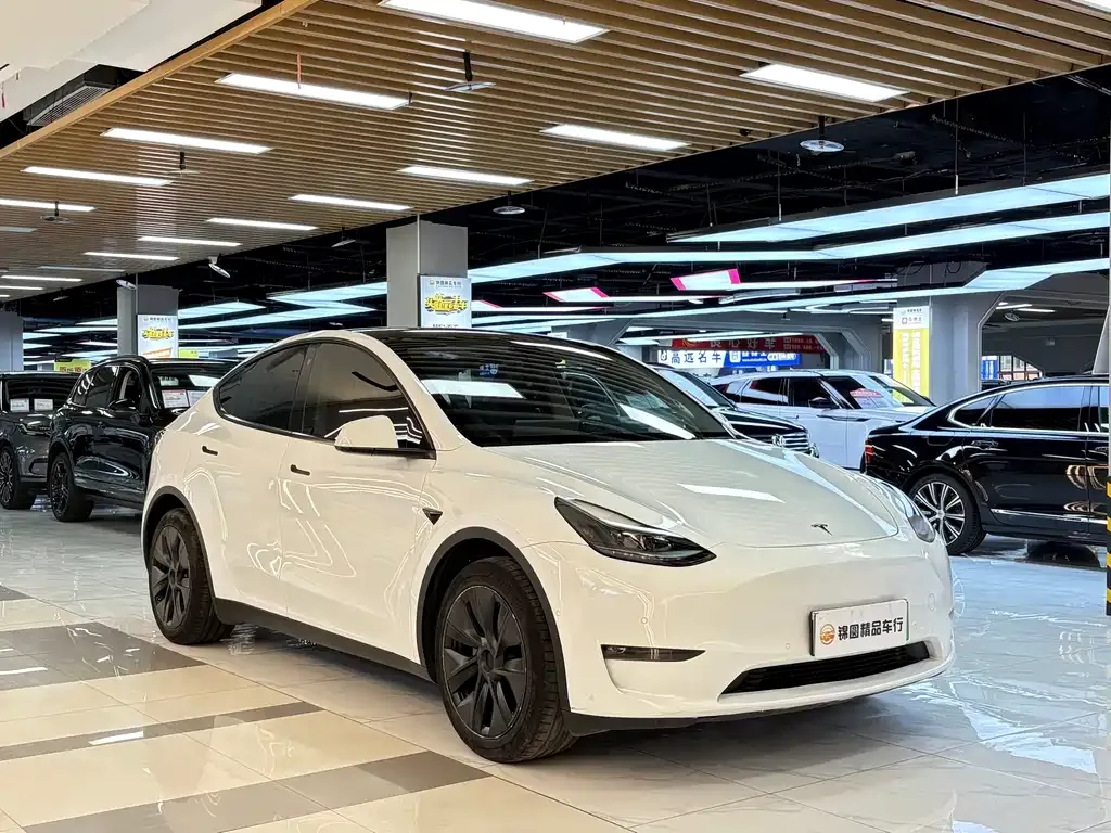 Tesla Model Y — фото 6