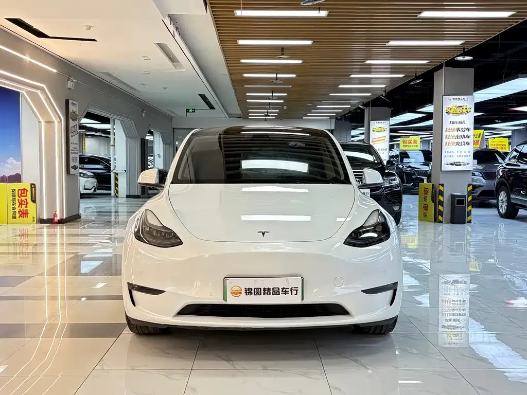Tesla Model Y — фото 2