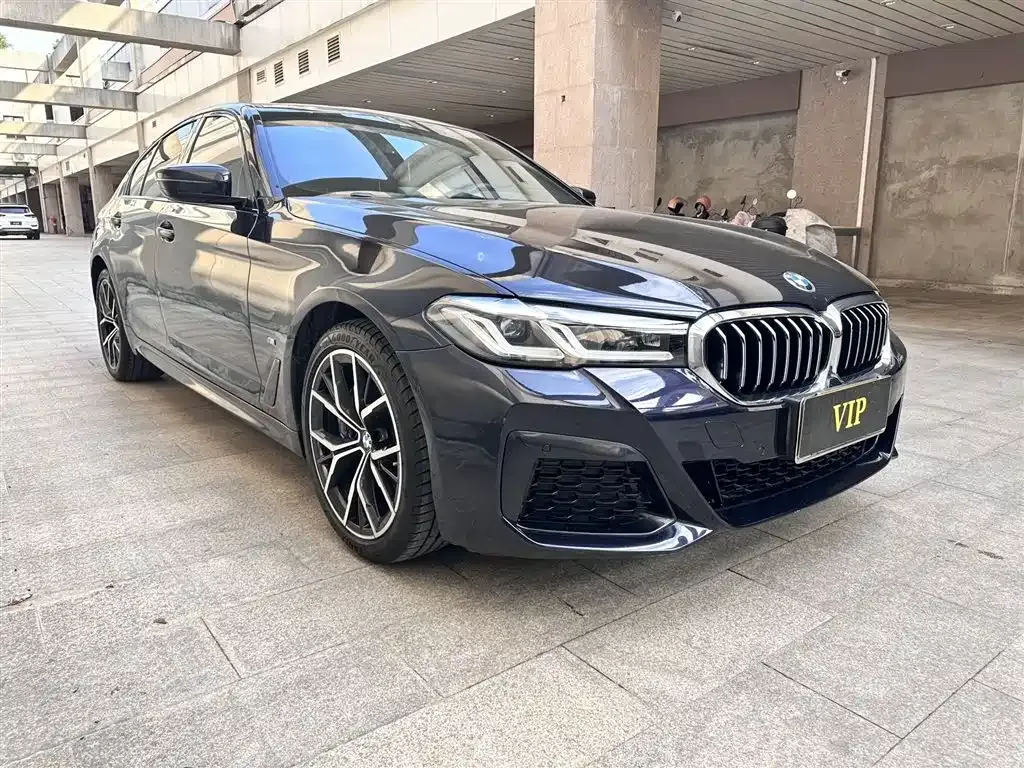 BMW 5 Series (Import) — фото 10