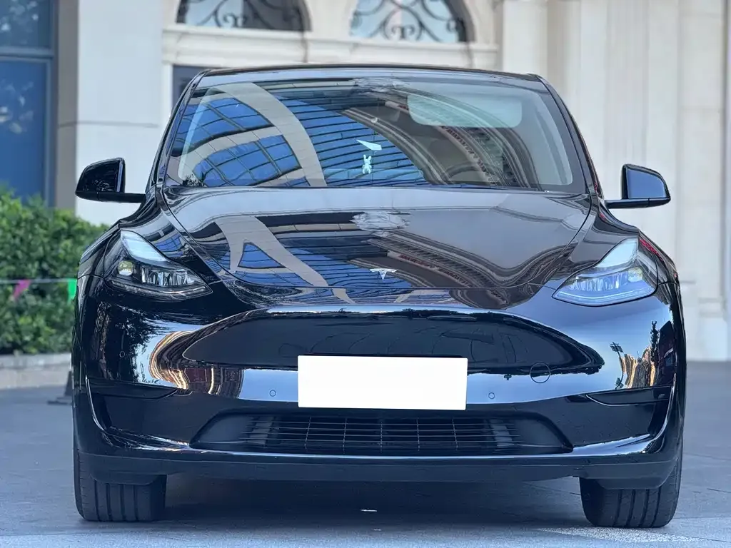 Tesla Model Y — фото 10